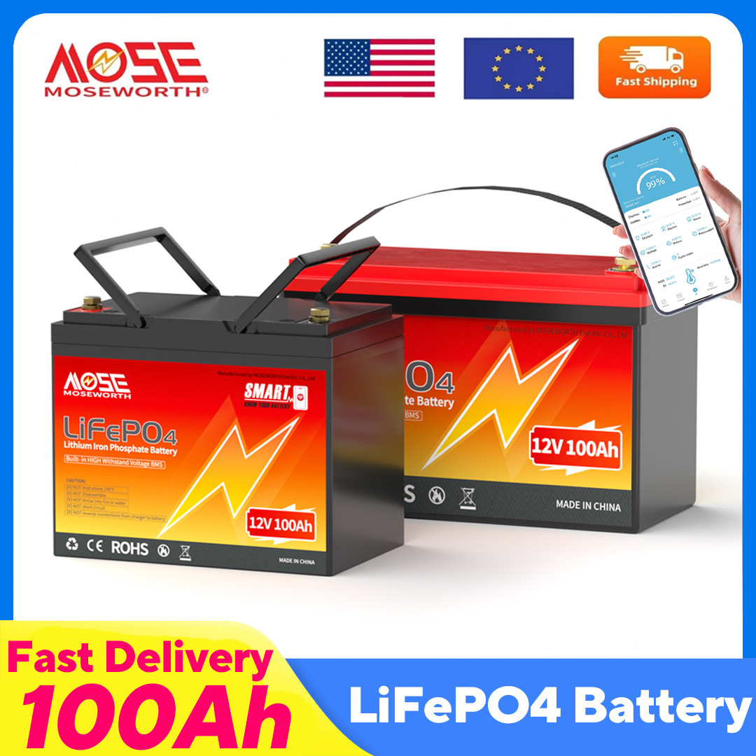 Batteria al litio MOSEWORTH Li - Lifepo4 12V 100Ah Bms Bluetooth recensione e prezzo